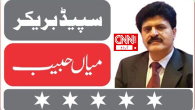 mian-habib